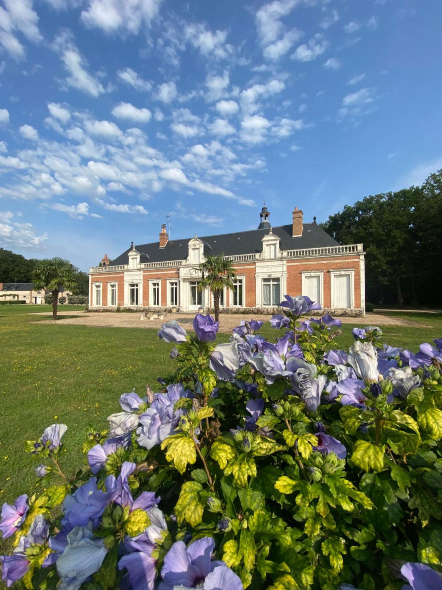 Domaine De Charme - Les Places Lassay-sur-Croisne Exterior foto